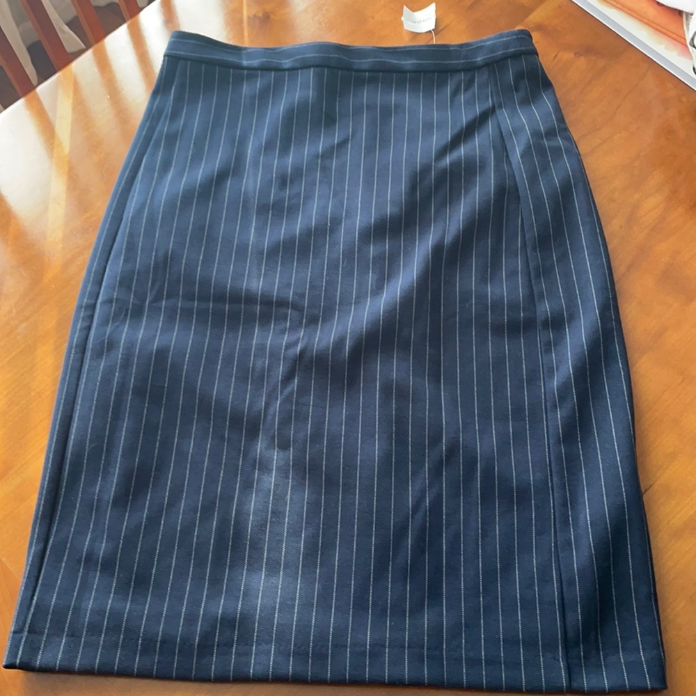 NWT Banana Republic Navy Blue Pin Stripe Skirt